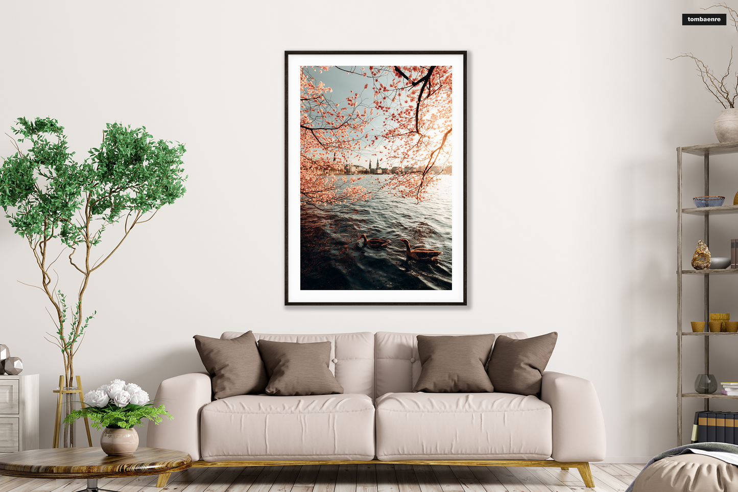 Premium Poster Hamburg - Kirschblüten an der Alster