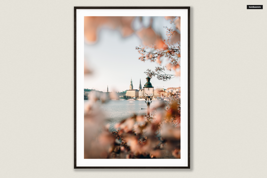 Premium Poster Hamburg - Spring on the Alster