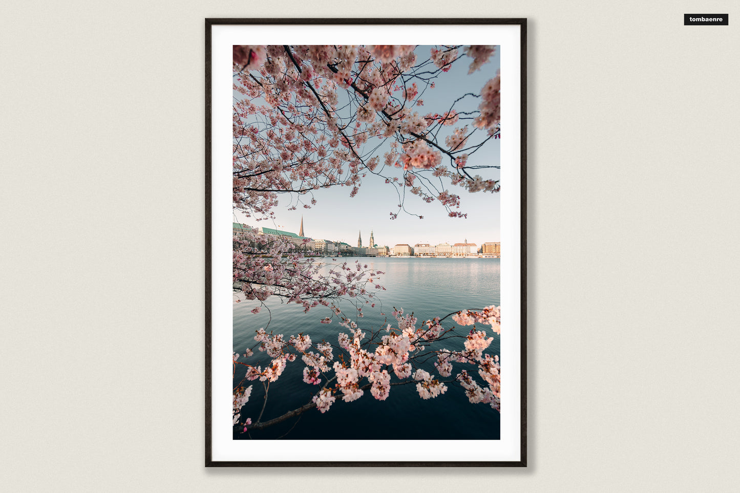 Premium Poster Hamburg - Kirschblüten